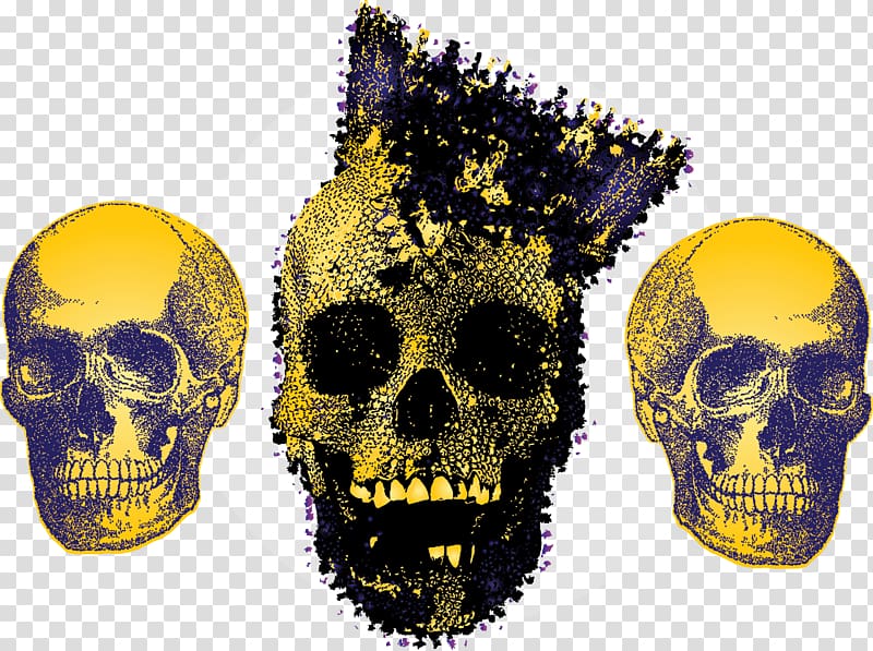 Skull Calavera, Creative Skeleton transparent background PNG clipart