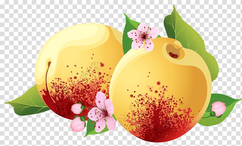 Marmalade Peach Fruit, Hand-painted peach transparent background PNG clipart