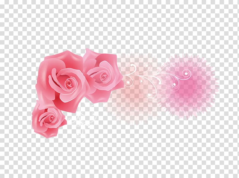 Garden roses Petal, Love Rose transparent background PNG clipart