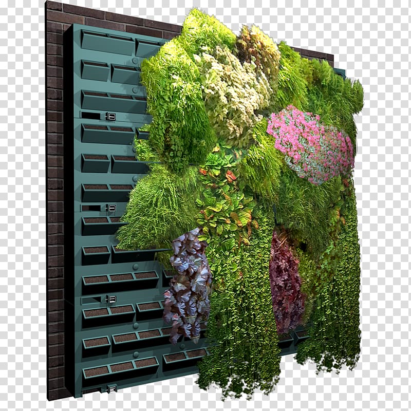 Green wall Garden Trellis Vine, others transparent background PNG clipart