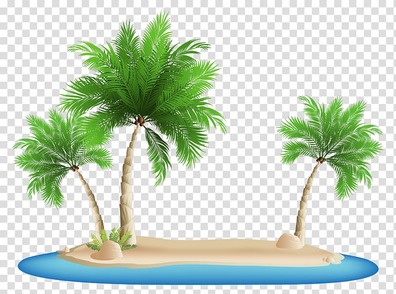Palm Islands Arecaceae , palm tree transparent background PNG clipart