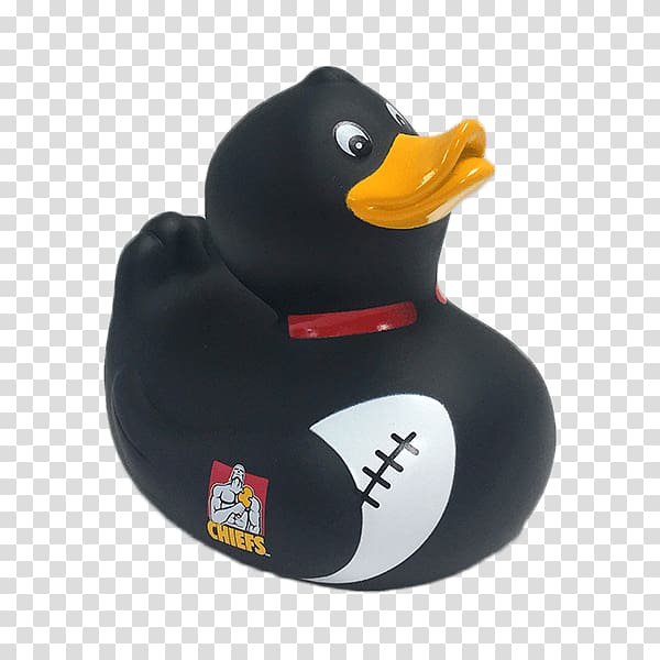 New Zealand national rugby union team Highlanders Crusaders Super Rugby Duck, duck transparent background PNG clipart