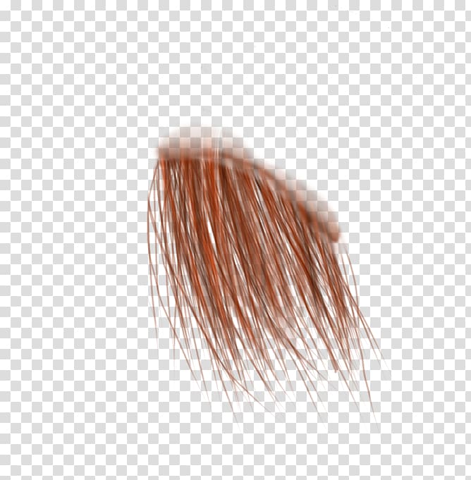 Brush Eyebrow Close-up, Hair strand transparent background PNG clipart