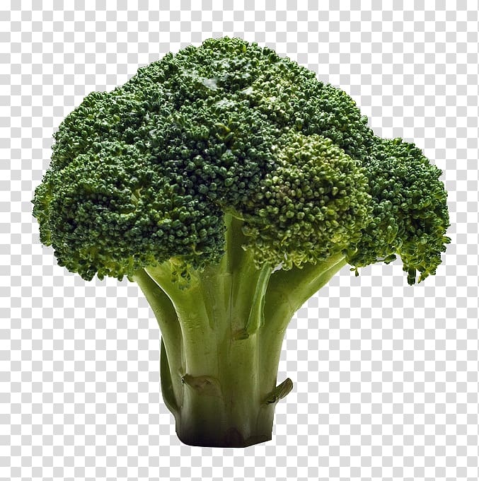 Broccoli Raw foodism Fruit salad Vegetable, Fresh fruits and vegetables,broccoli transparent background PNG clipart