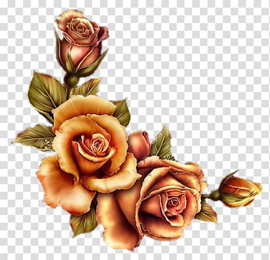 Flower Garden roses , Barnali Bagchi transparent background PNG clipart