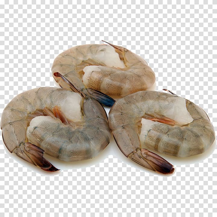 Crangon crangon Fried shrimp Whiteleg shrimp Seafood, Shrimp transparent background PNG clipart