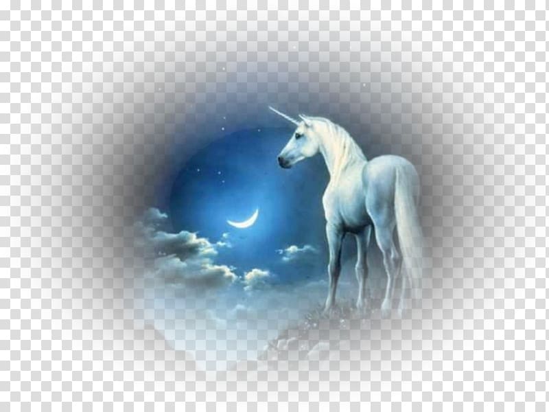Unicorn Animation Pegasus Desktop , unicorn transparent background PNG clipart