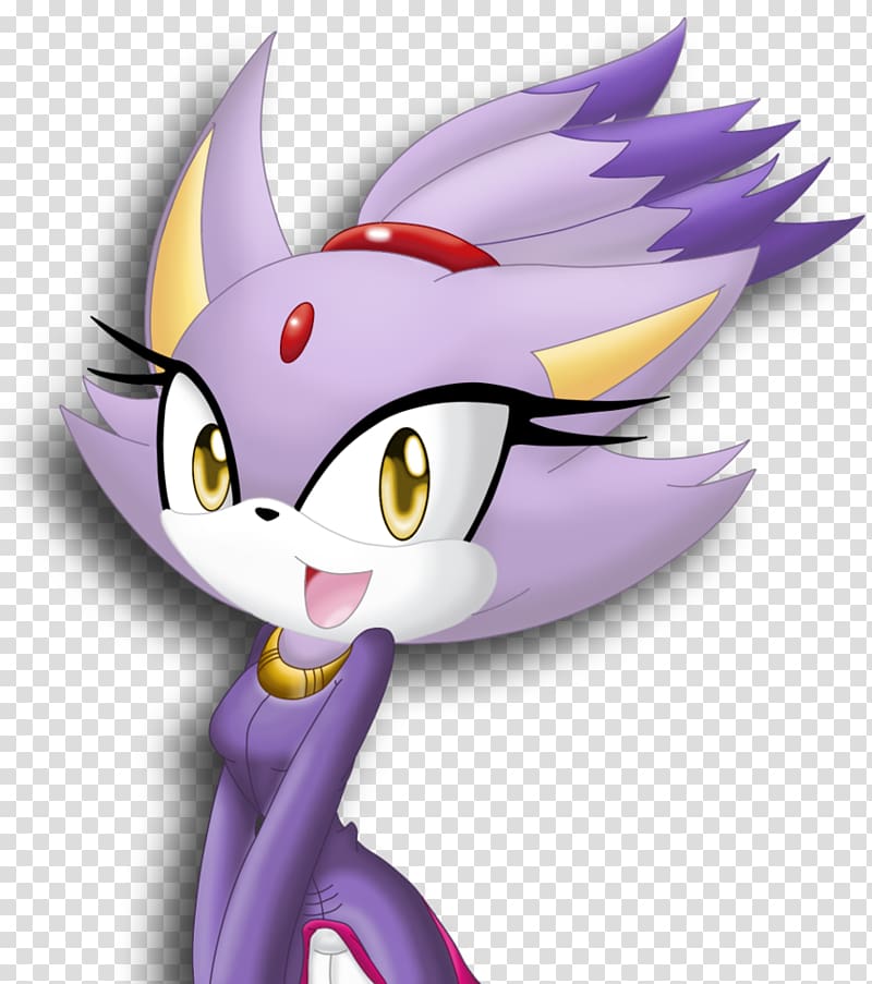 Sonic Rush Adventure Blaze the Cat Amy Rose Rouge the Bat, classical shading transparent background PNG clipart