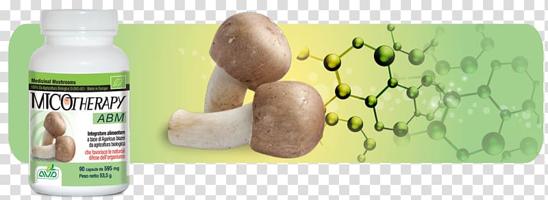 Agaricus subrufescens Medicinal fungi Fungus Common mushroom, mushroom transparent background PNG clipart