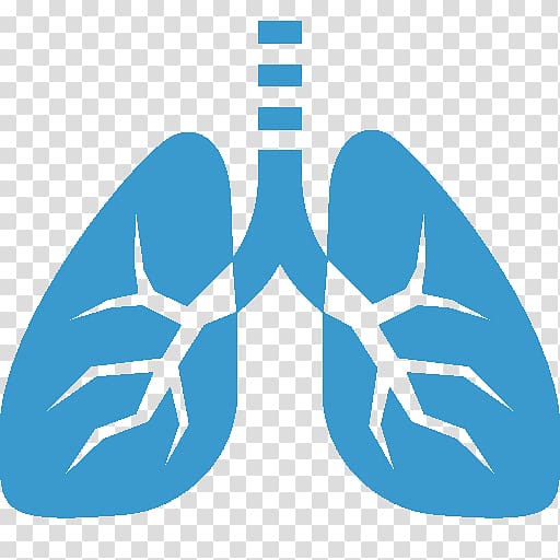 Lung Pulmonary alveolus , cardiovascular transparent background PNG clipart