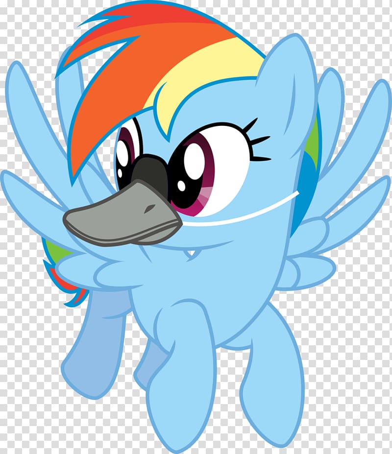 My Little Pony Rainbow Dash Spike, literal transparent background PNG clipart