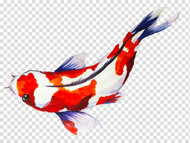 Dress Slow Fashion Drawing Clothing, fish koi transparent background PNG clipart