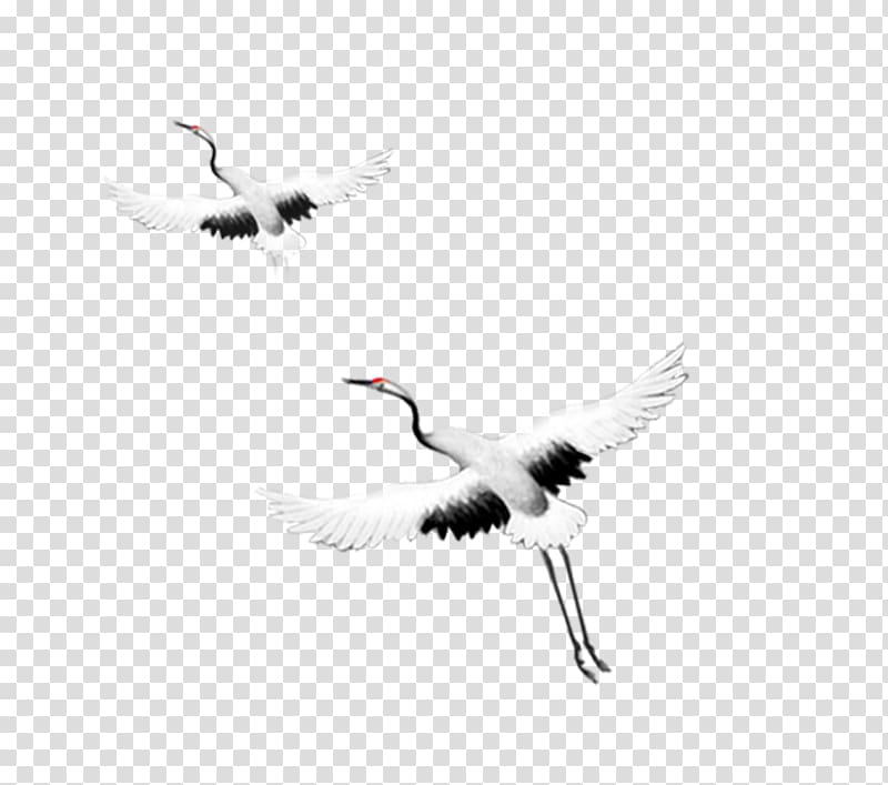 Crane Flight Bird Goose, Flying Crane transparent background PNG clipart