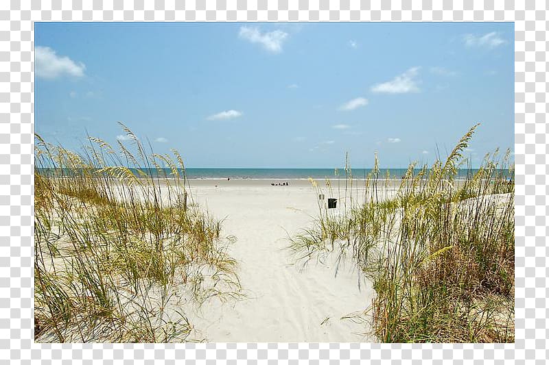Coligny Plaza Shopping Center Shore Sea Beach Vacation rental, island beach transparent background PNG clipart