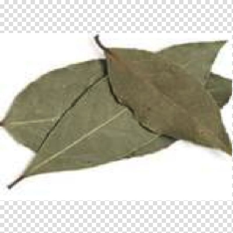 Bay leaf Food drying Herb Flavor Bay Laurel, BAY LEAVES transparent background PNG clipart