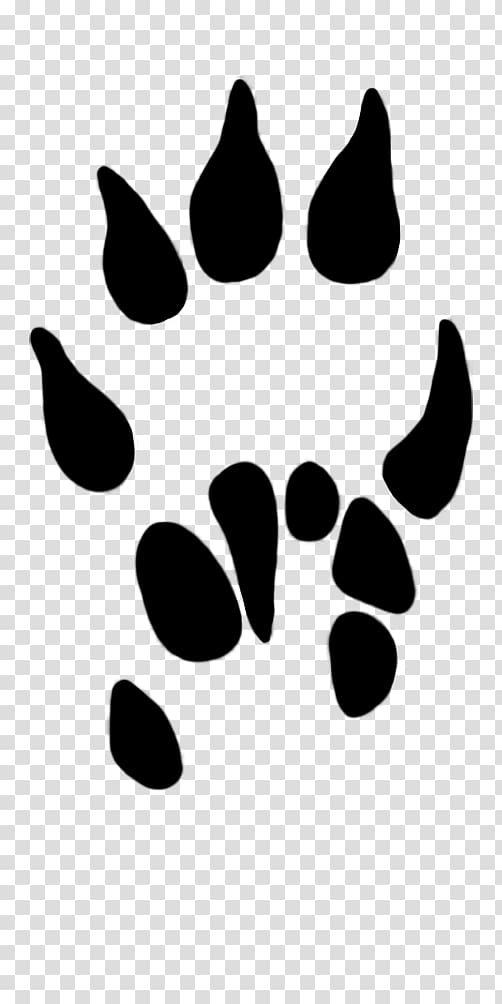 Paw Dog Common shrew , animal paw prints transparent background PNG clipart