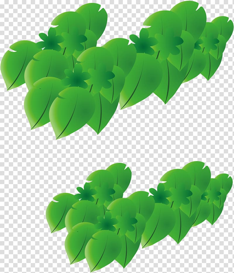 Leaf Cartoon, Into leaves transparent background PNG clipart