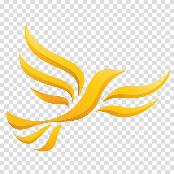 Wales Welsh Liberal Democrats Liberalism Maidstone and The Weald, others transparent background PNG clipart