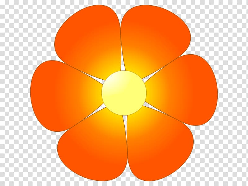 Orange Flower , Orange Flowers transparent background PNG clipart