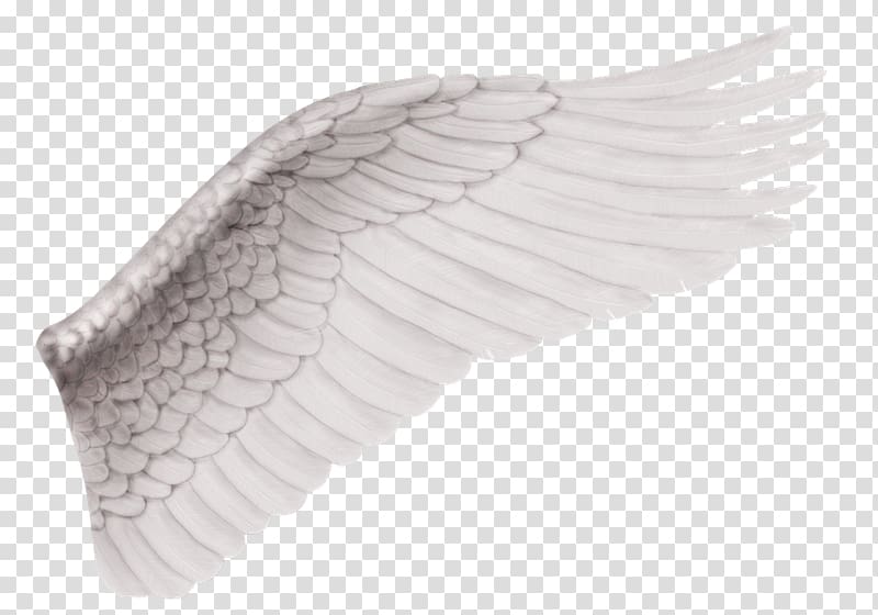 Angel , wings material transparent background PNG clipart