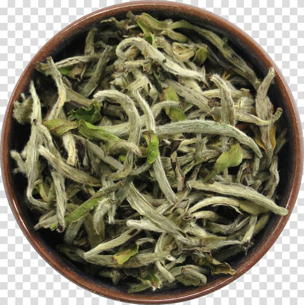 Hōjicha Nilgiri tea Baihao Yinzhen Longjing tea White tea, tea transparent background PNG clipart