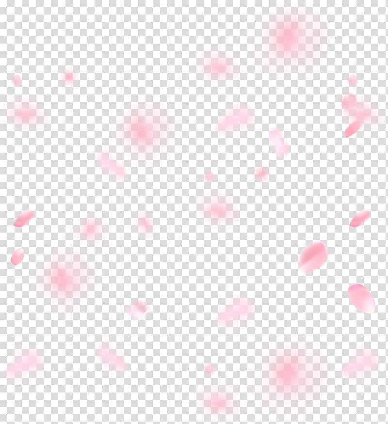 Light Magenta Pink Desktop Red, cherry blossom transparent background PNG clipart