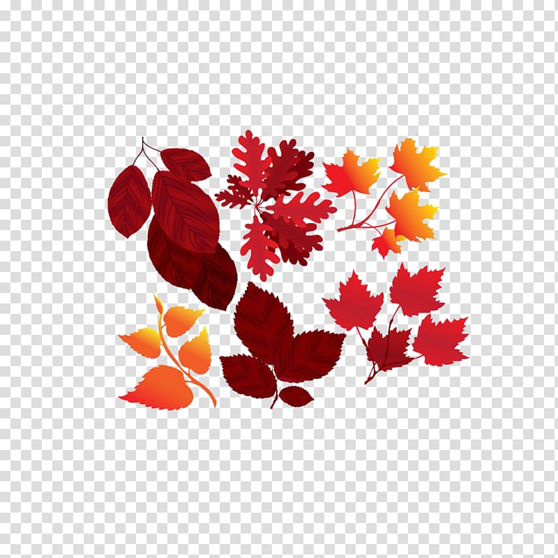 Maple leaf Red Yellow Orange, Autumn leaves transparent background PNG clipart
