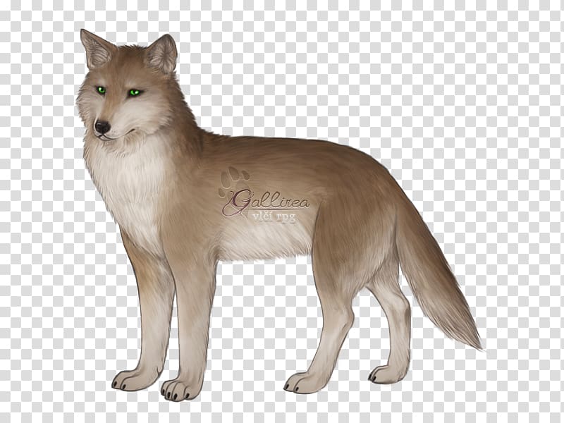 Saarloos wolfdog Red fox Coyote Thylacine 3D computer graphics, shea transparent background PNG clipart