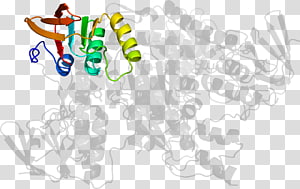 Organism , design transparent background PNG clipart thumbnail