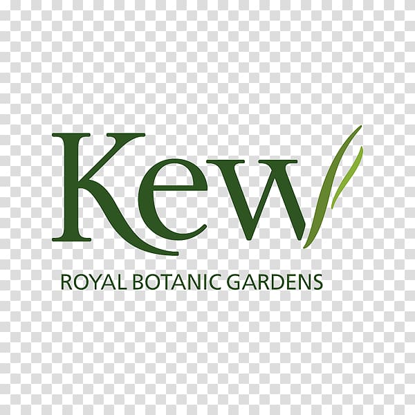 Royal Botanic Gardens, Kew Kew Gardens Botanical garden Hanging Gardens of Babylon, point takeaway transparent background PNG clipart