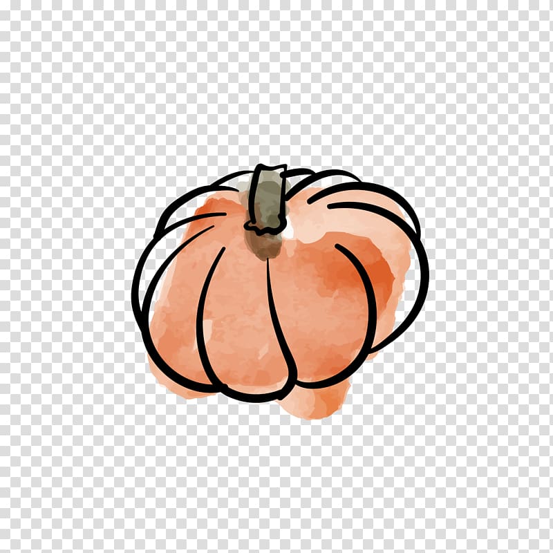 Calabaza Vegetable Watercolor painting Illustration, pumpkin transparent background PNG clipart