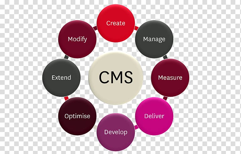 Content management system Contact page Web content, medicare compliance auditor transparent background PNG clipart