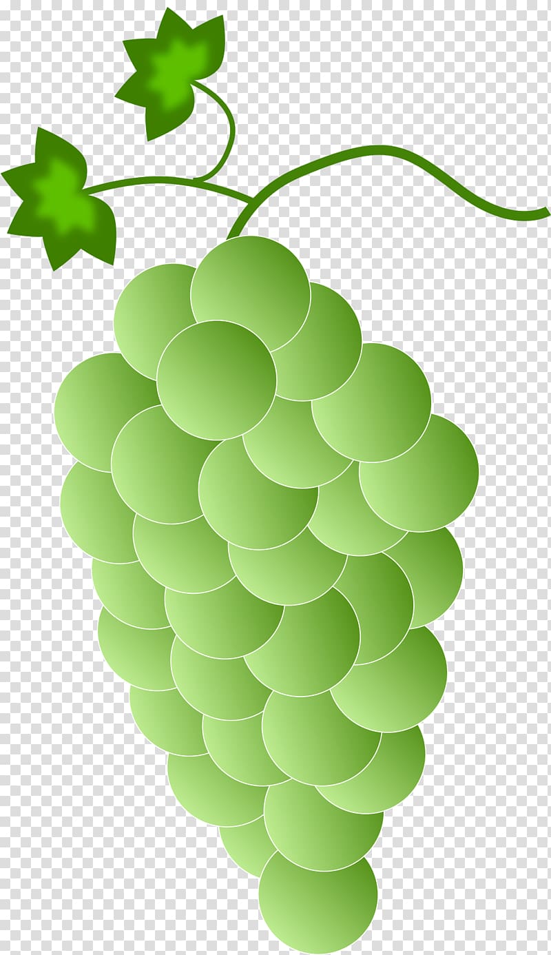 Red Wine Common Grape Vine , grape transparent background PNG clipart