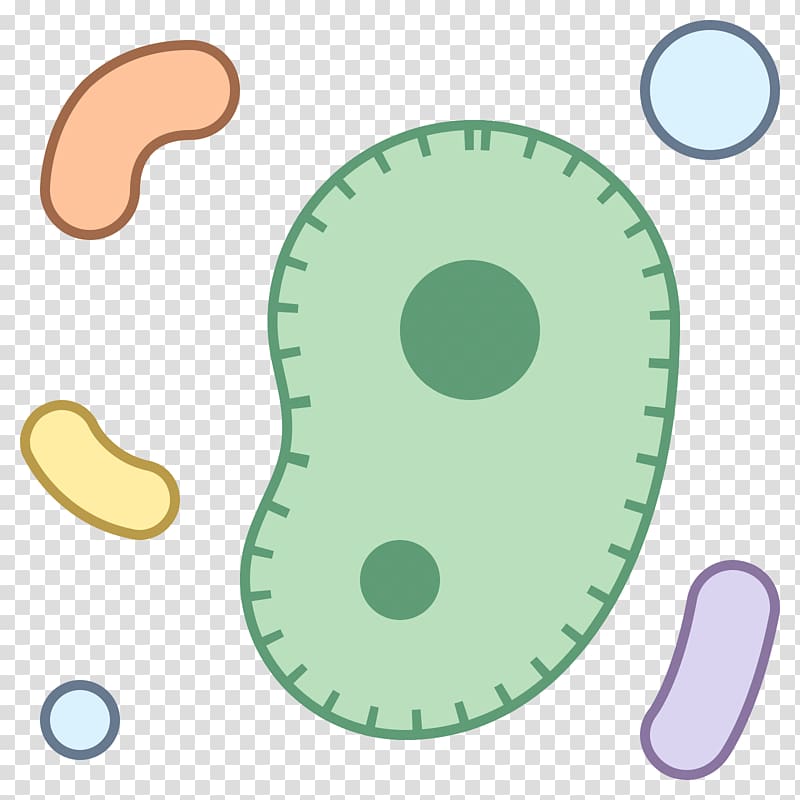 Portable Network Graphics Computer Icons Microorganism Bacteria Icons8, transparent background PNG clipart