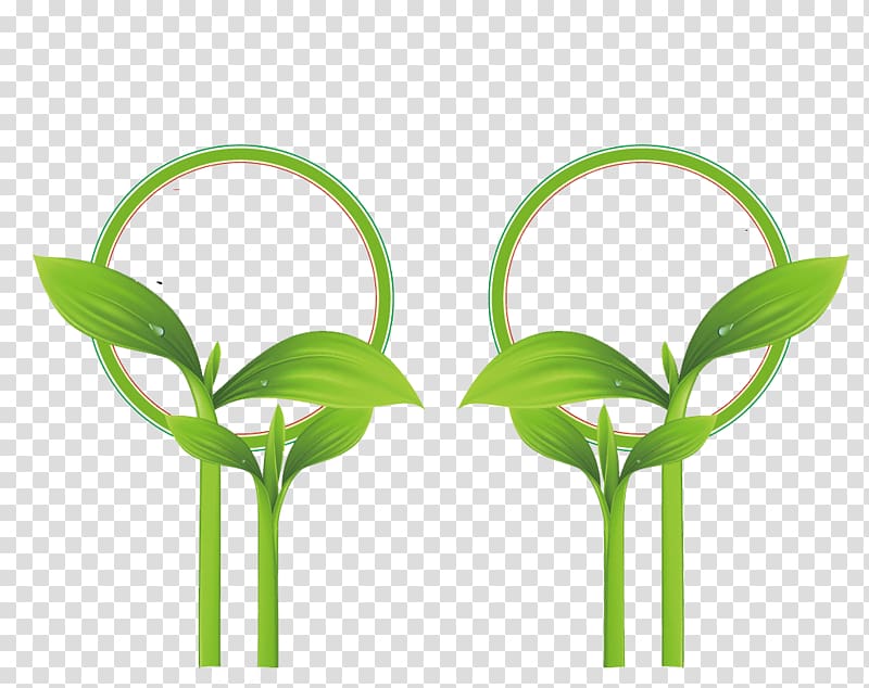 Green Shoot, Magnifying glass with small green buds transparent background PNG clipart