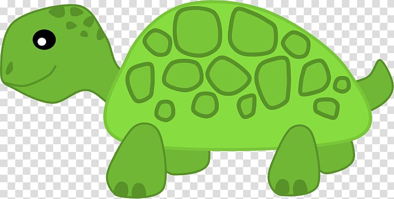 Green sea turtle , Turtle Free transparent background PNG clipart