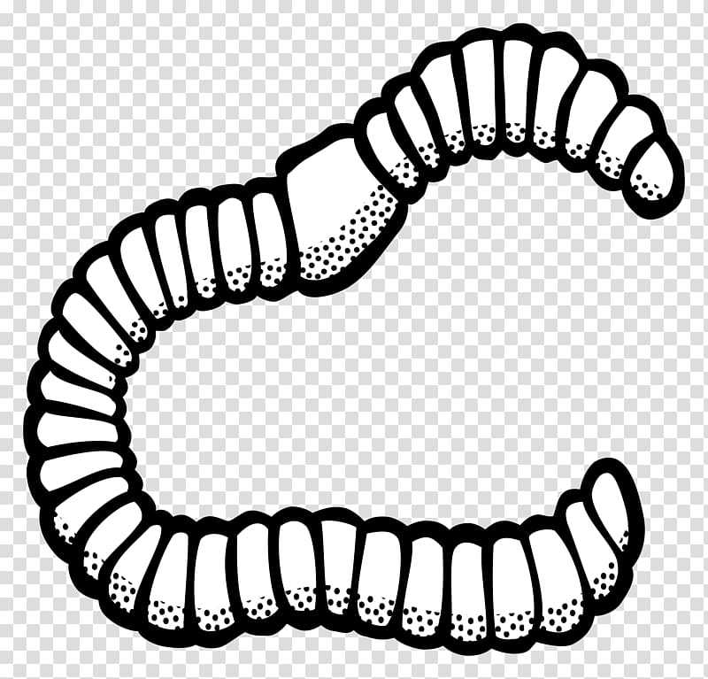 Earthworm , others transparent background PNG clipart