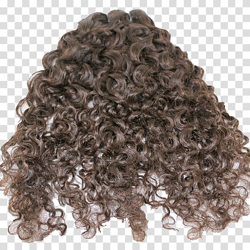 Wig Long hair Homo sapiens, curly transparent background PNG clipart