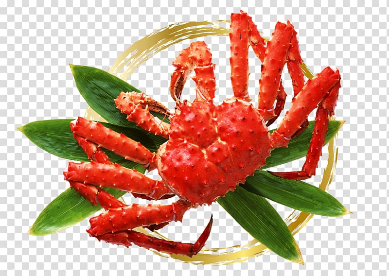 Red king crab Snow crab Lithodes santolla Decapods, crab transparent background PNG clipart
