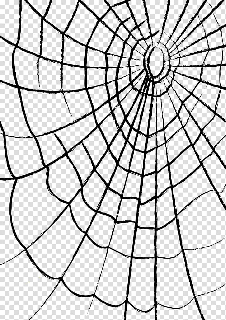 black spider web illustration, Spider web , Cobweb transparent background PNG clipart