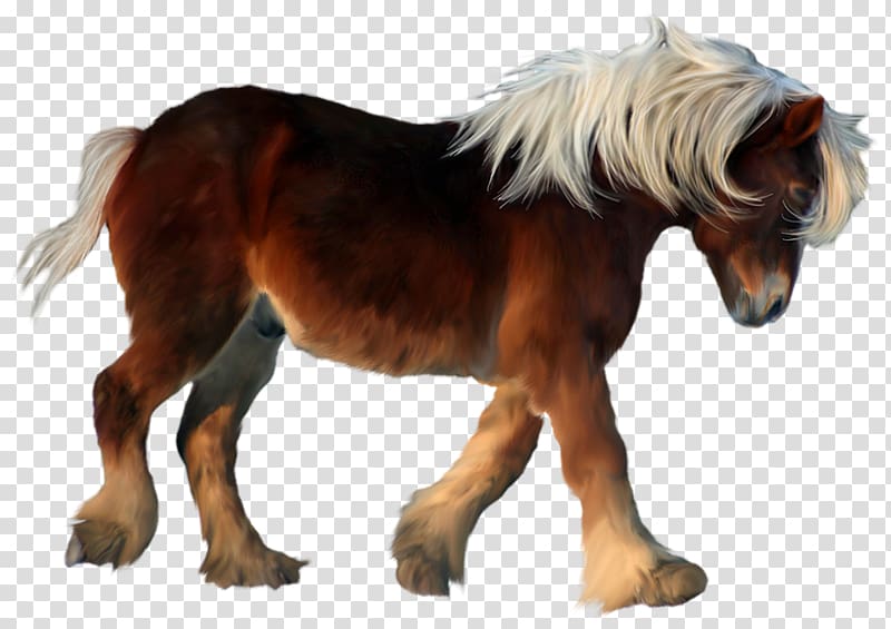 Shetland pony American Miniature Horse Twilight Sparkle , others transparent background PNG clipart