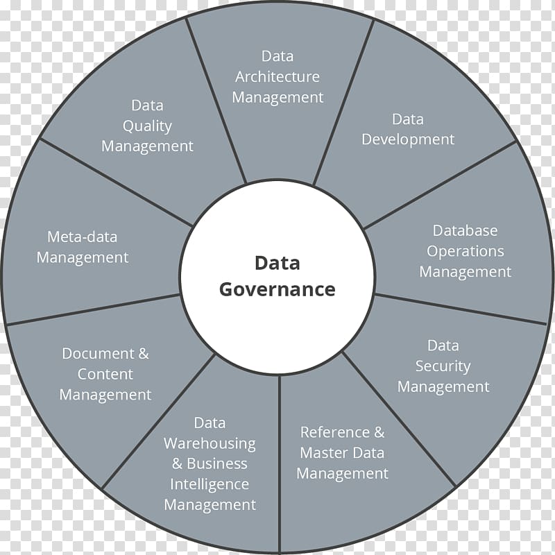 Project Management Body of Knowledge Organization DAMA International Data management, others transparent background PNG clipart