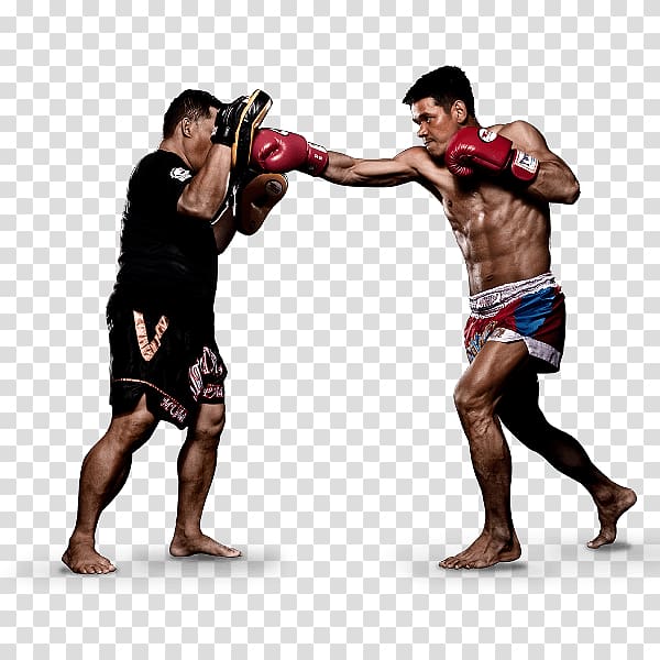 Muay Thai Mixed martial arts Evolve MMA Boxing, Boxing transparent background PNG clipart