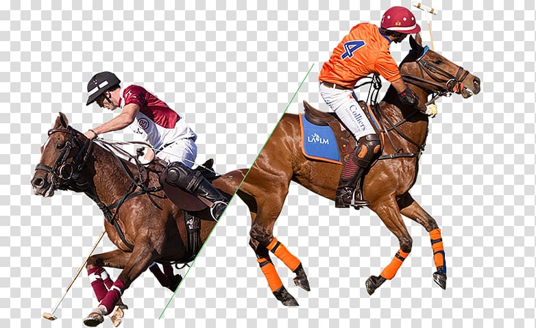 Caballo Polo Argentino Equestrian Sports La Martina, argentina polo sport transparent background PNG clipart