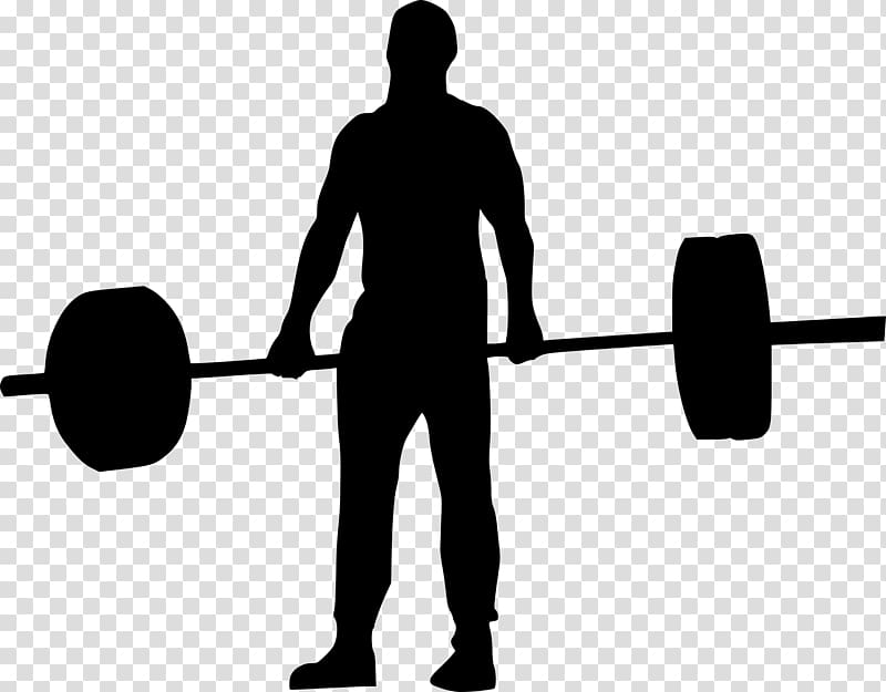 Powerlifting transparent background PNG clipart