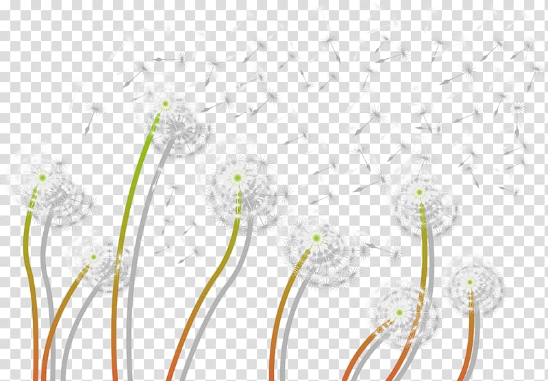 Dandelion Plant frame, Hand painted white plants dandelion transparent background PNG clipart