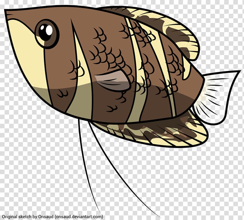 Chocolate gourami Giant gourami Honey gourami Tropical fish, others transparent background PNG clipart