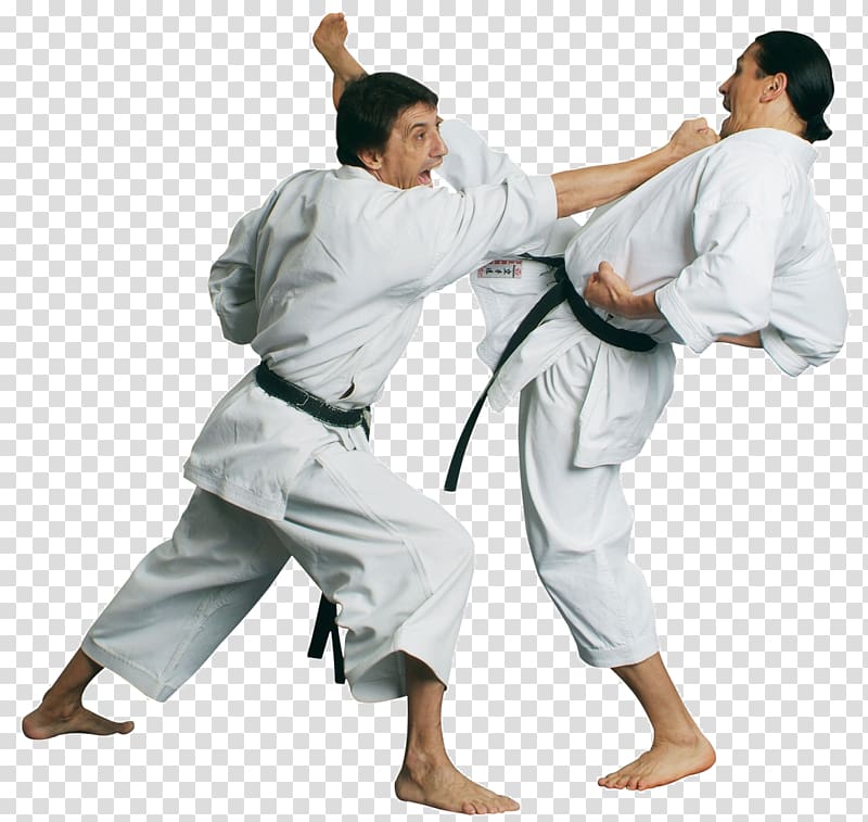 Karate transparent background PNG clipart