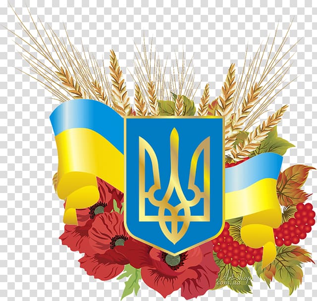 Independence Day of Ukraine Constitution Day Constitution of Ukraine Statute, others transparent background PNG clipart