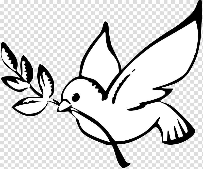 white bird with leaf , Peace Dove Black and White transparent background PNG clipart